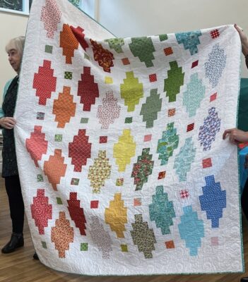 Norfolk Quilters November 2022 Get Together Day - Show & Tell